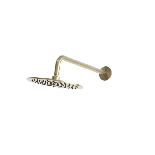 Kit de ducha pared oro de acero inoxidable 316L brazo y rociador 25 cm