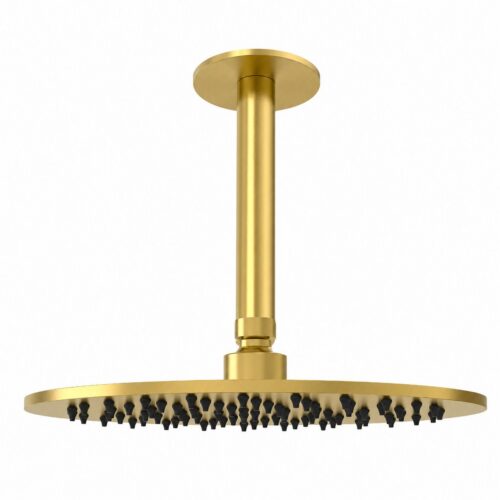 Brazo de ducha a techo 25 cm oro acero inoxidable 316L