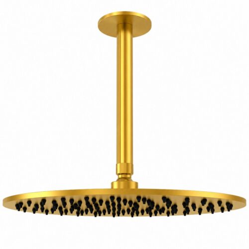 Kit brazo y rociador de ducha techo 30 cm oro acero inox 316L